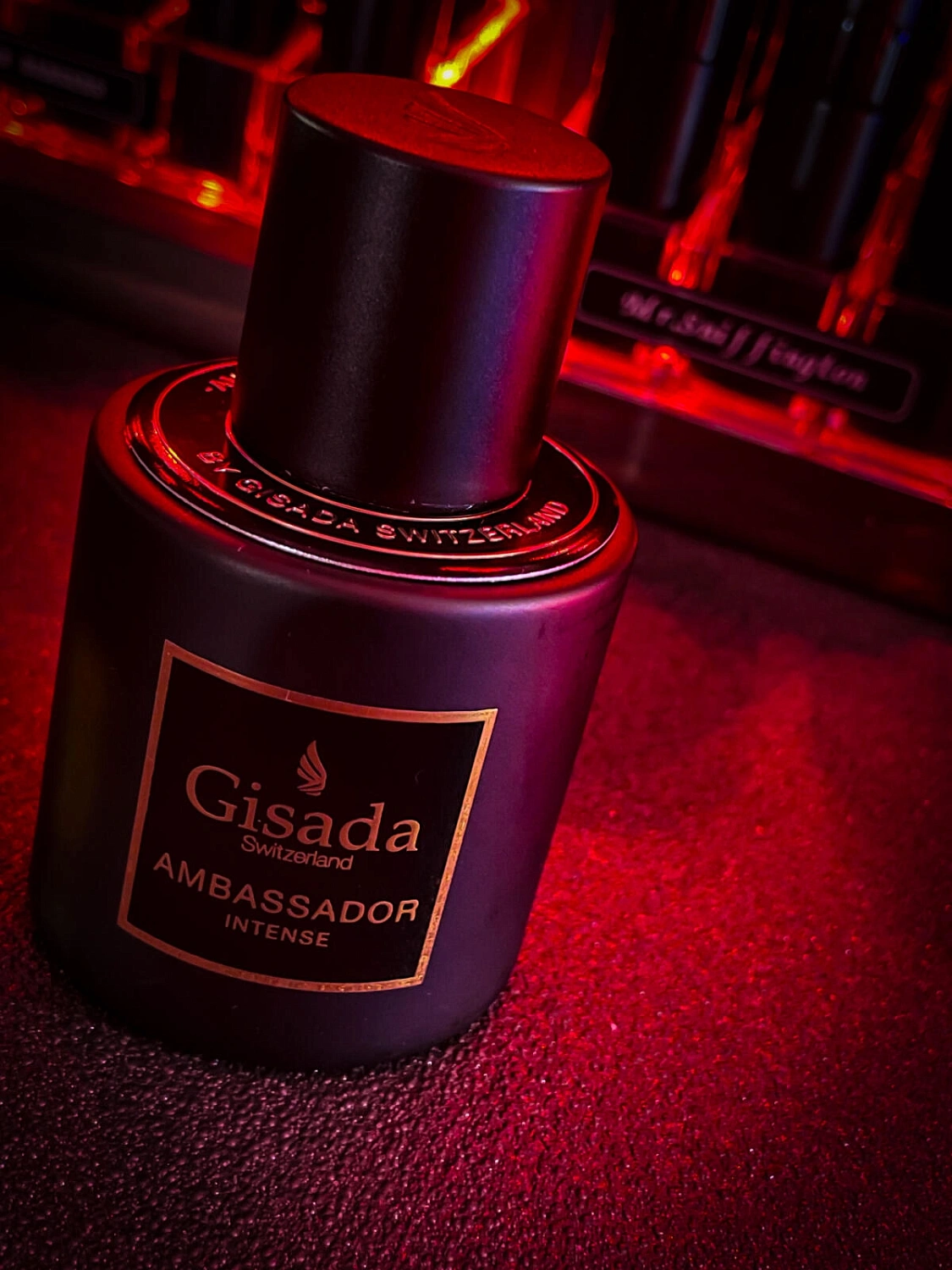 Gisada Ambassador Intense