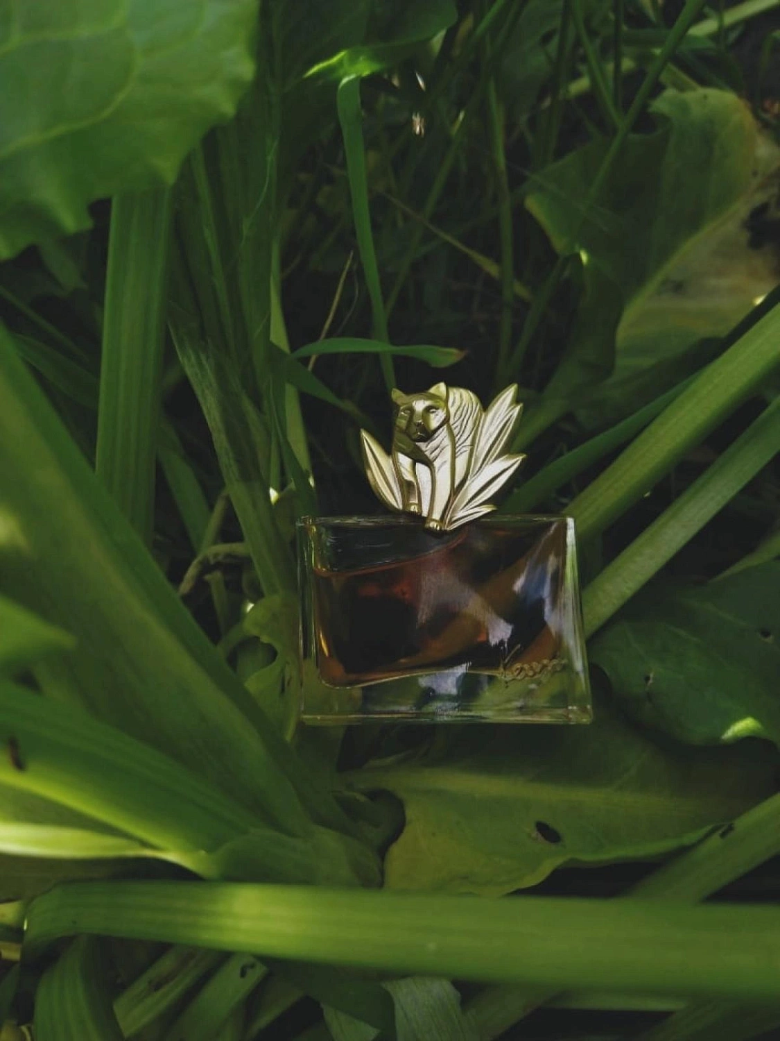 Kenzo Jungle le Tigre