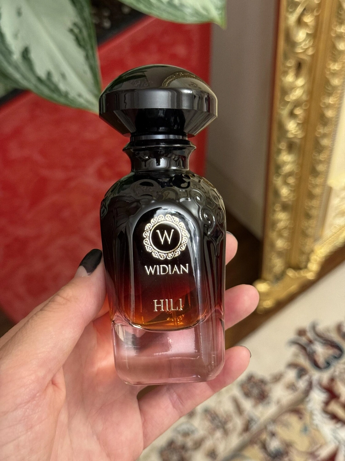 AJ Arabia Widian Hili