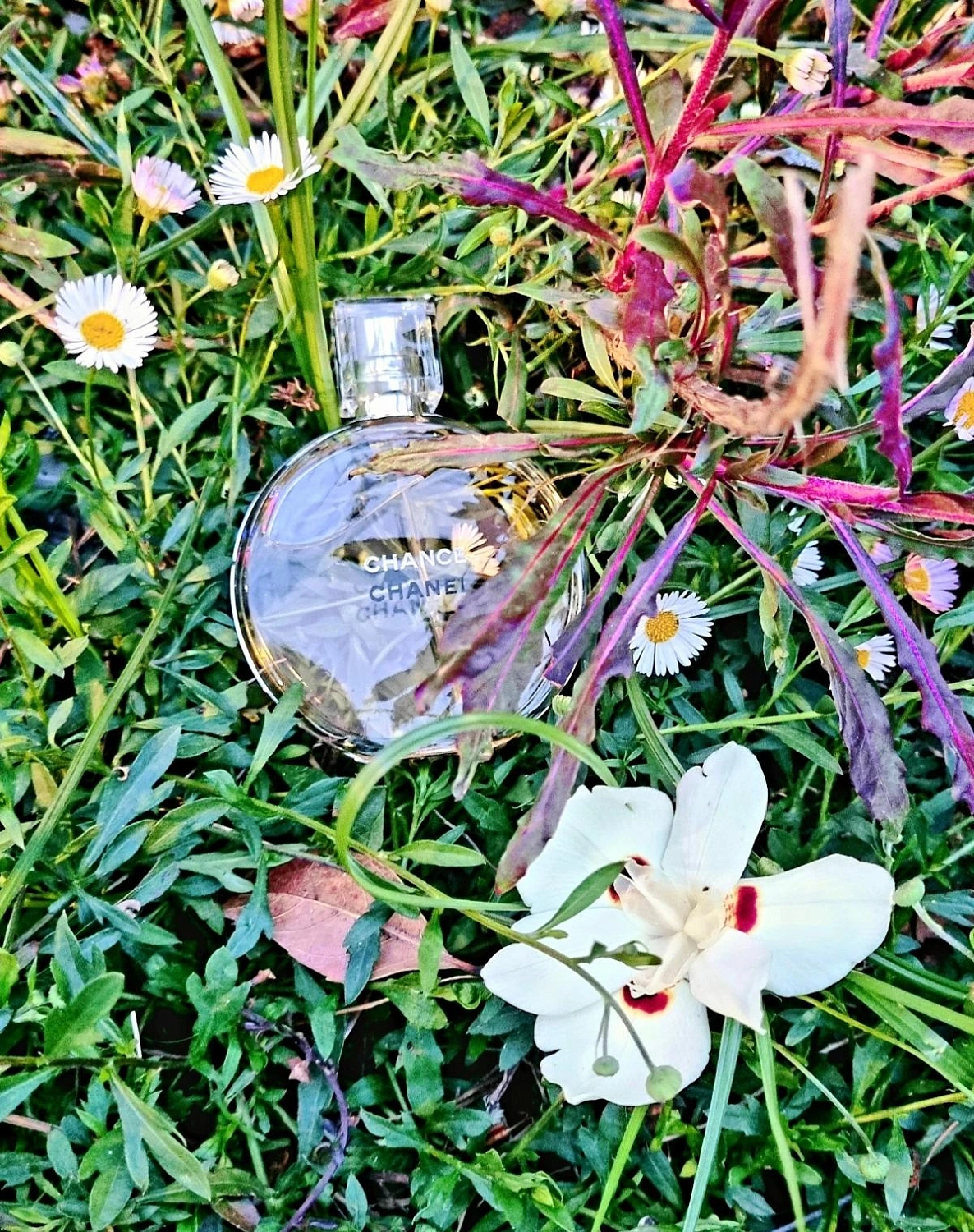 Chanel Chance Eau de Toilette