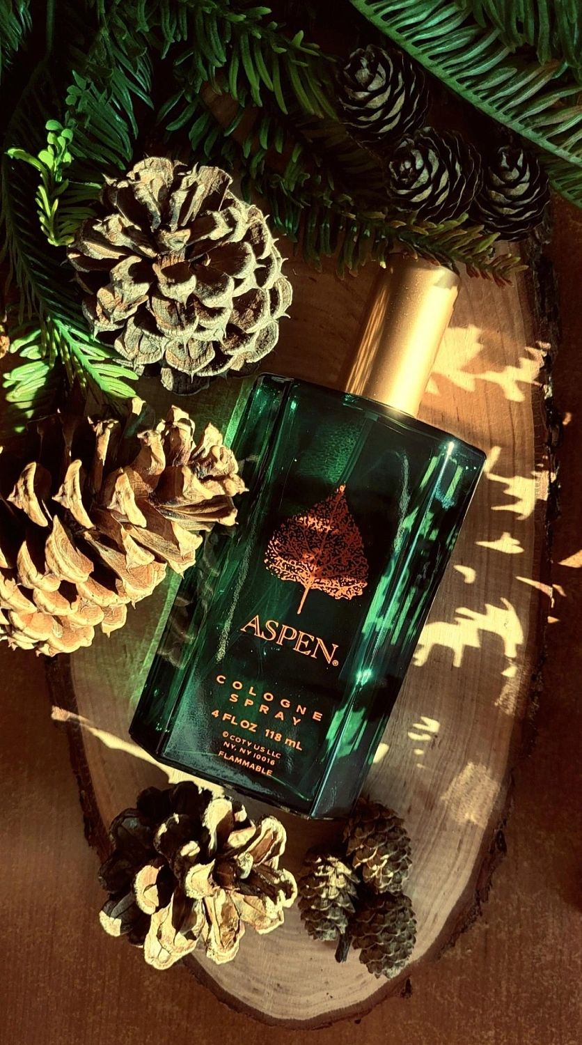 Coty Aspen For Men