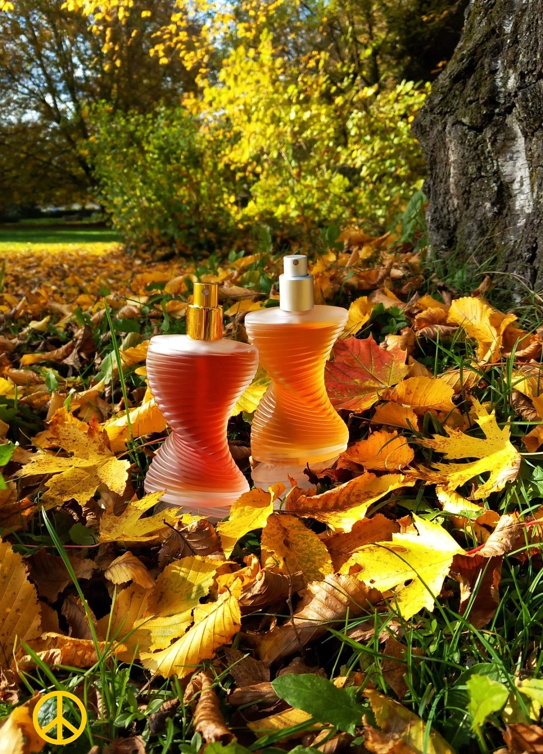 Montana Parfum de Peau