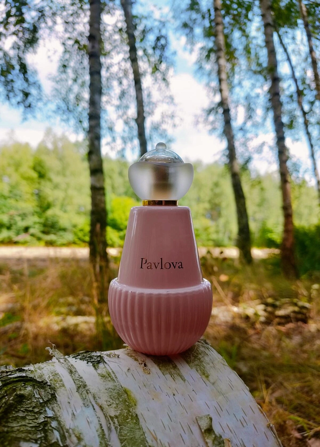 Jeanne Arthes Tea Time à Paris Pavlova
