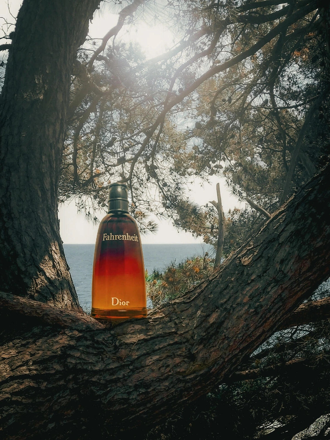 Christian Dior Fahrenheit