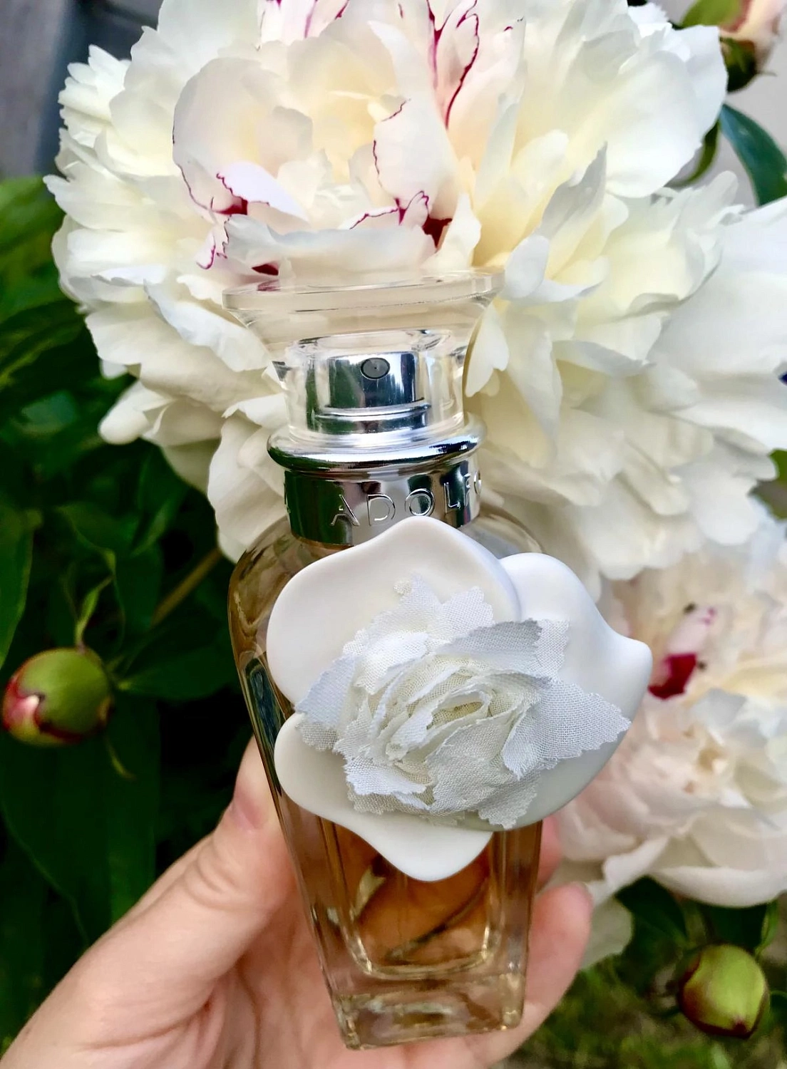 Adolfo Domínguez Agua Fresca de Rosas Blancas