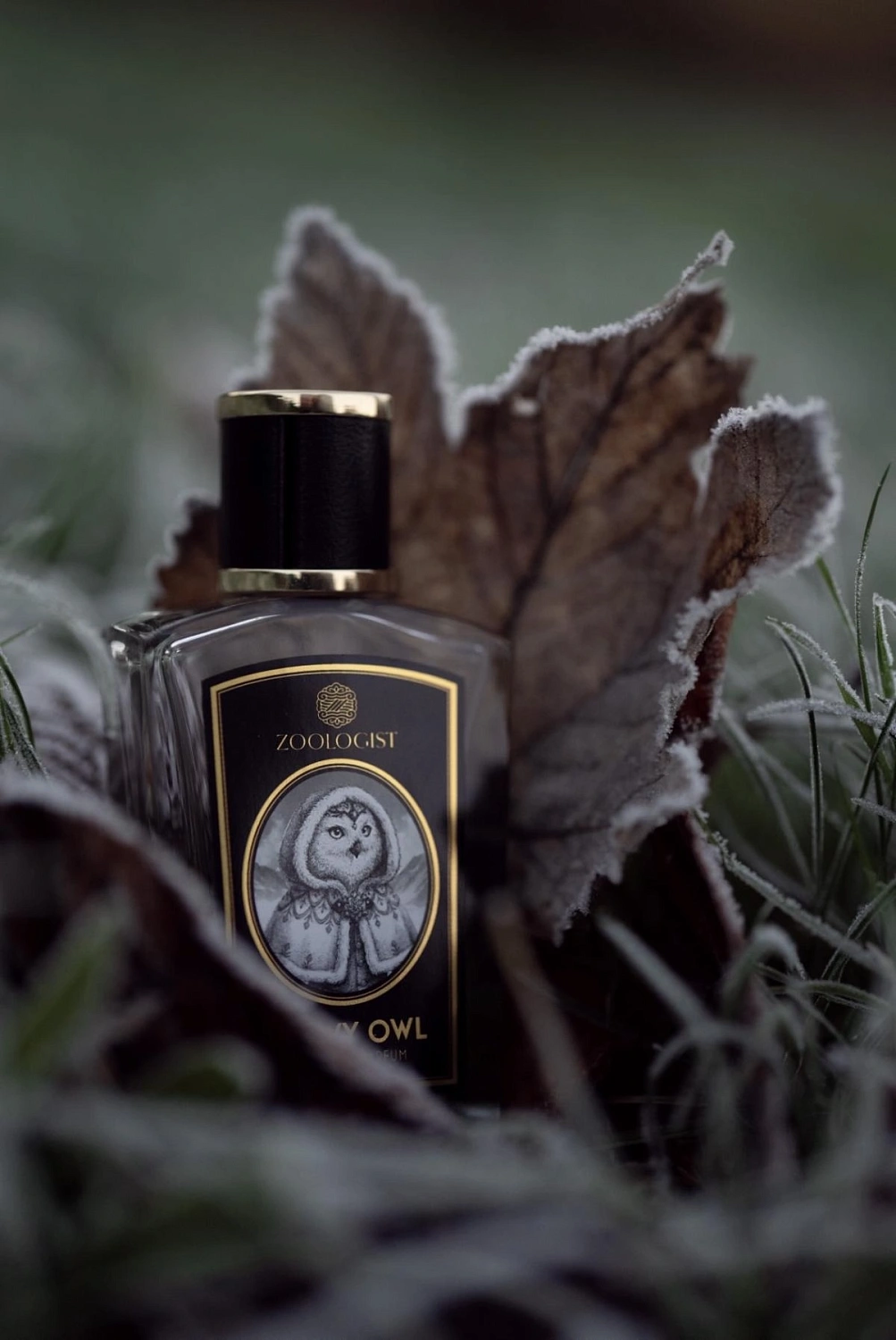 Zoologist Perfumes Snowy Owl