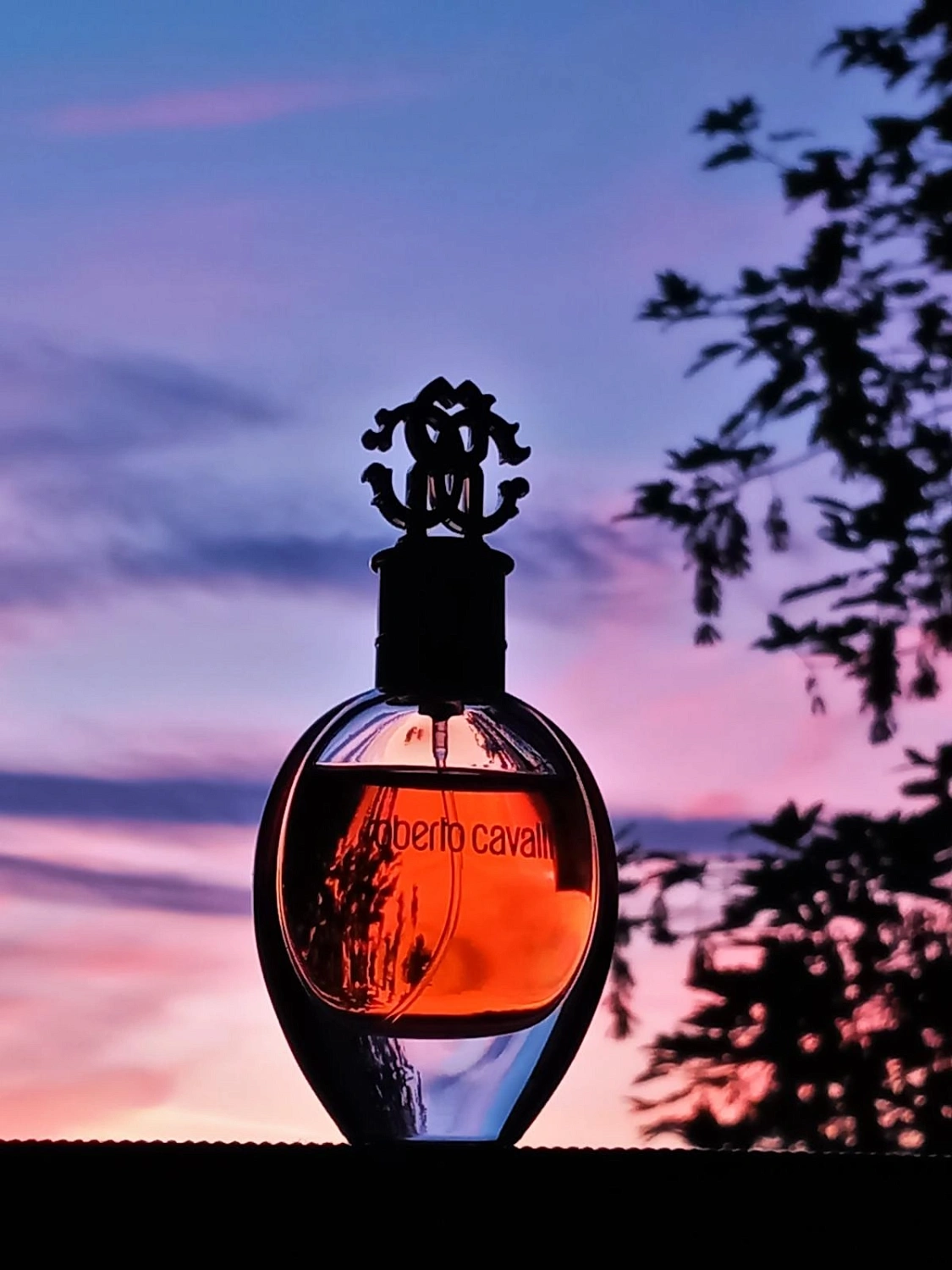 Roberto Cavalli Eau de Parfum 2012 (Signature)