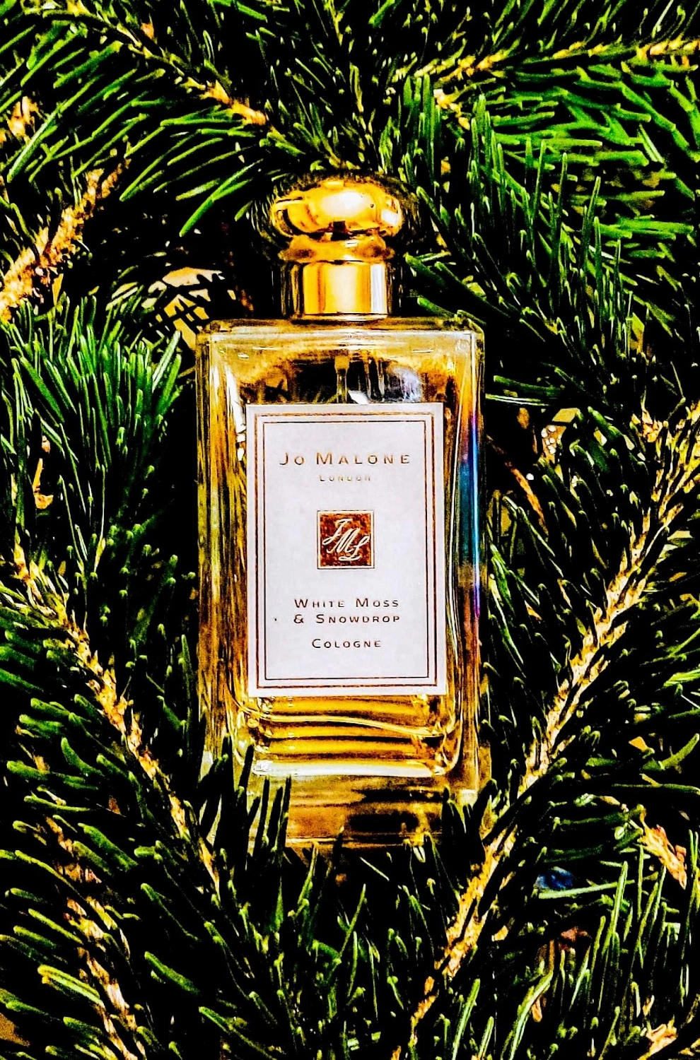Jo Malone White Moss & Snowdrop