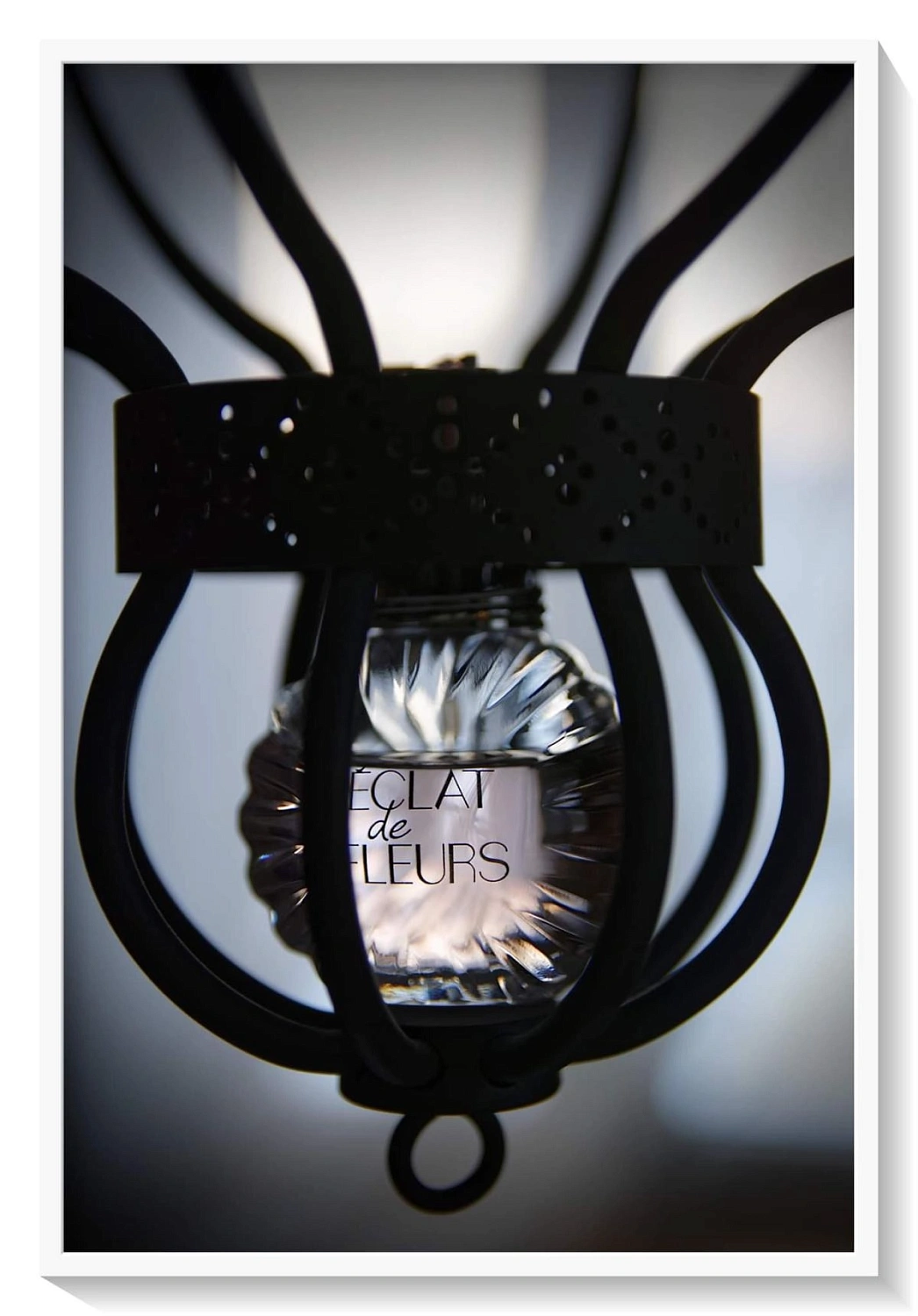 Lanvin Eclat de Fleurs