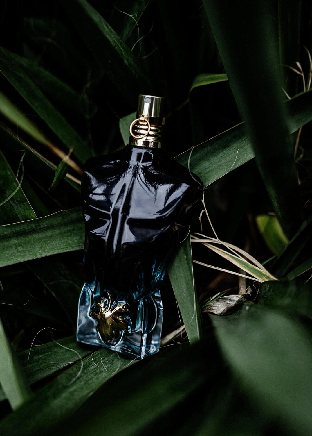 Jean Paul Gaultier Le Beau Le Parfum