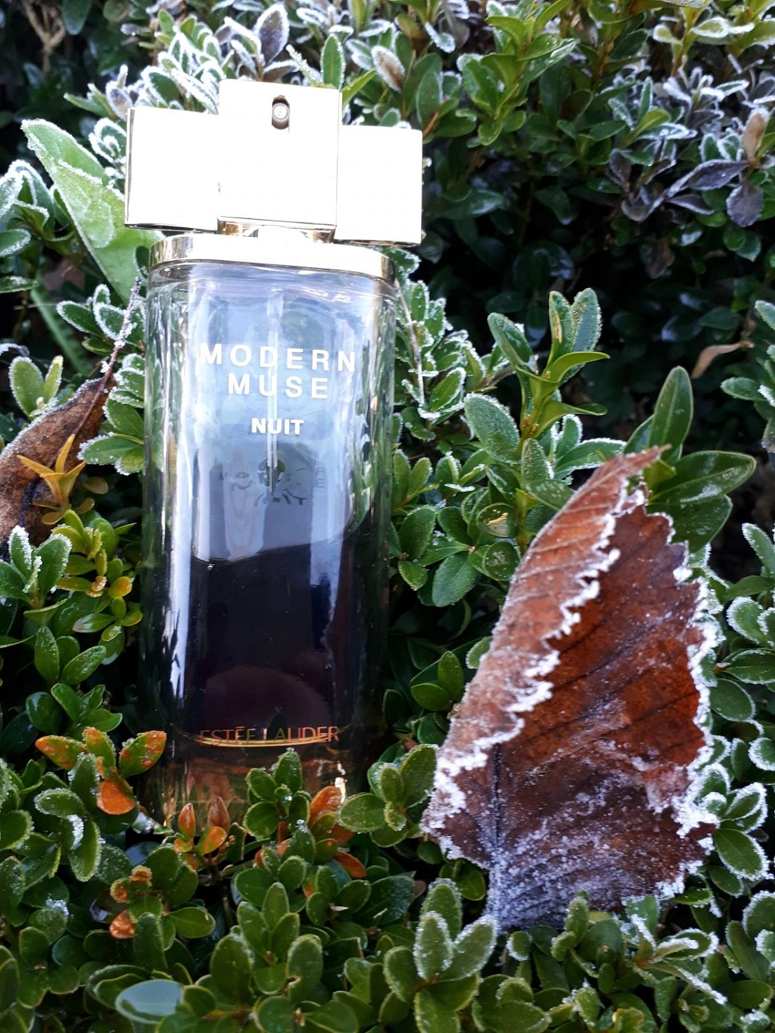 Estée Lauder Modern Muse Nuit