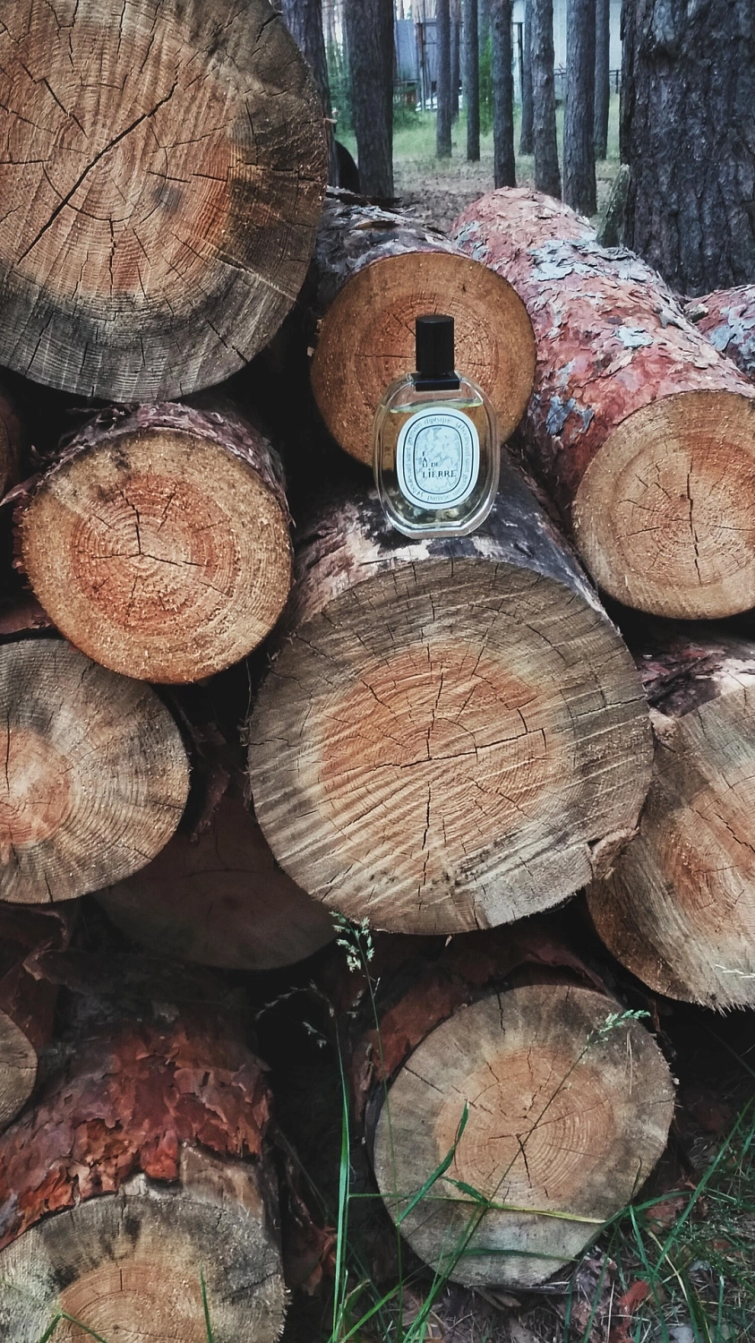 Diptyque L'Eau de Lierre