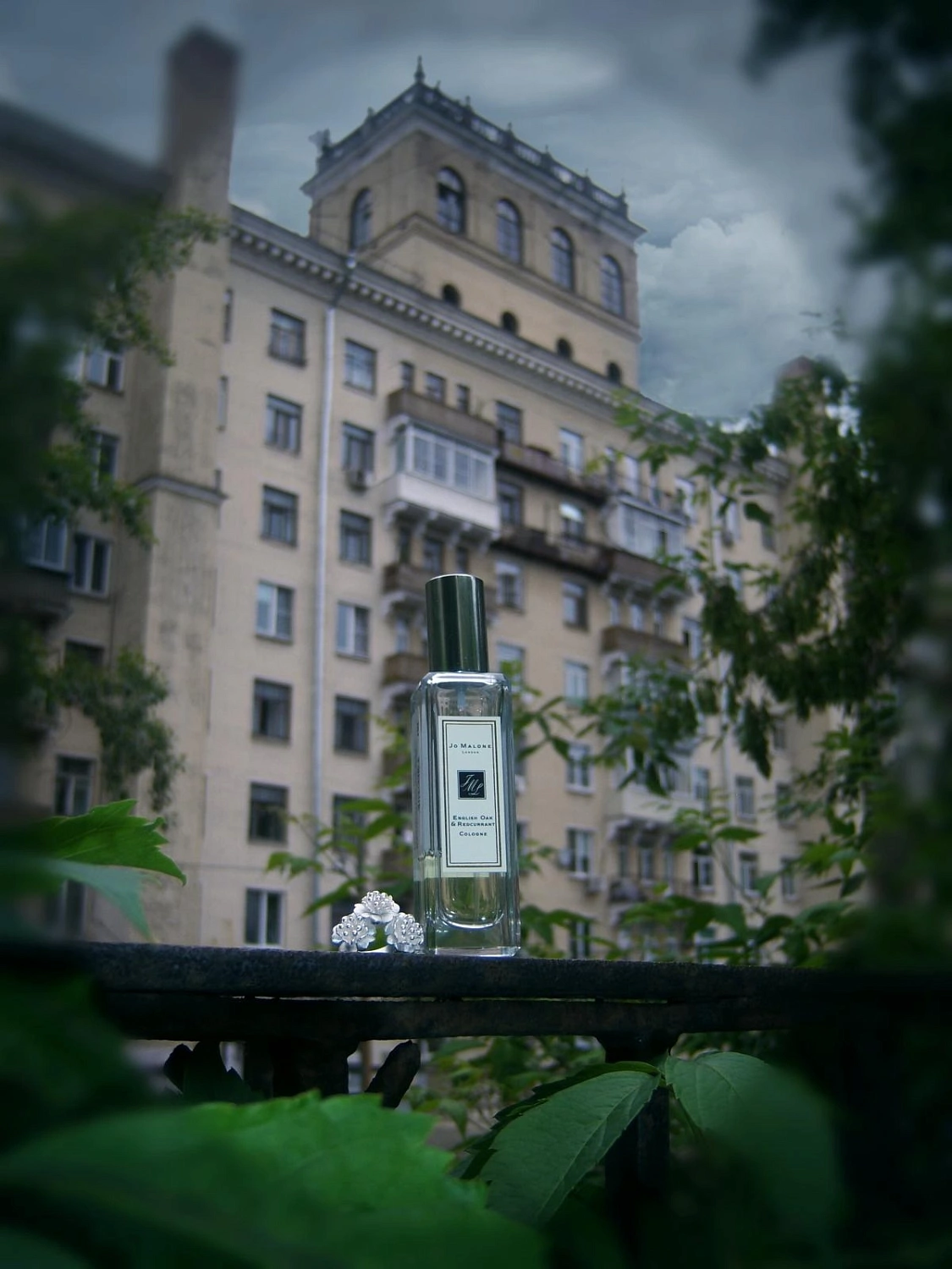 Jo Malone English Oak & Redcurrent