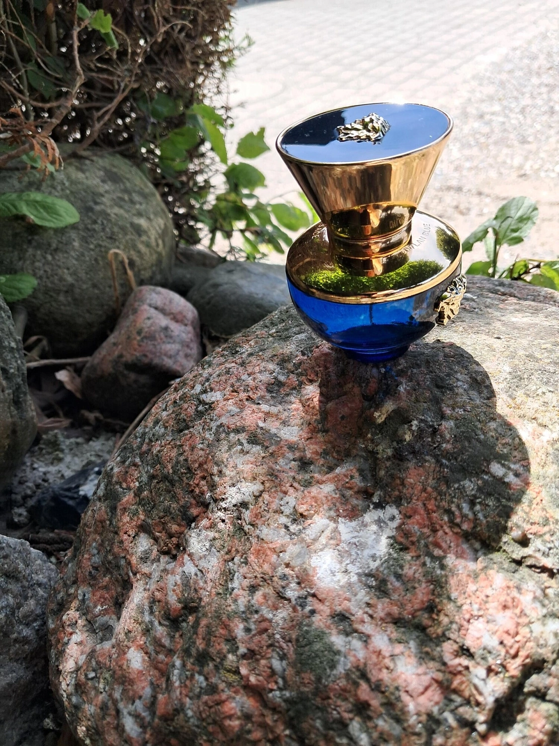 Versace Pour Femme Dylan Blue