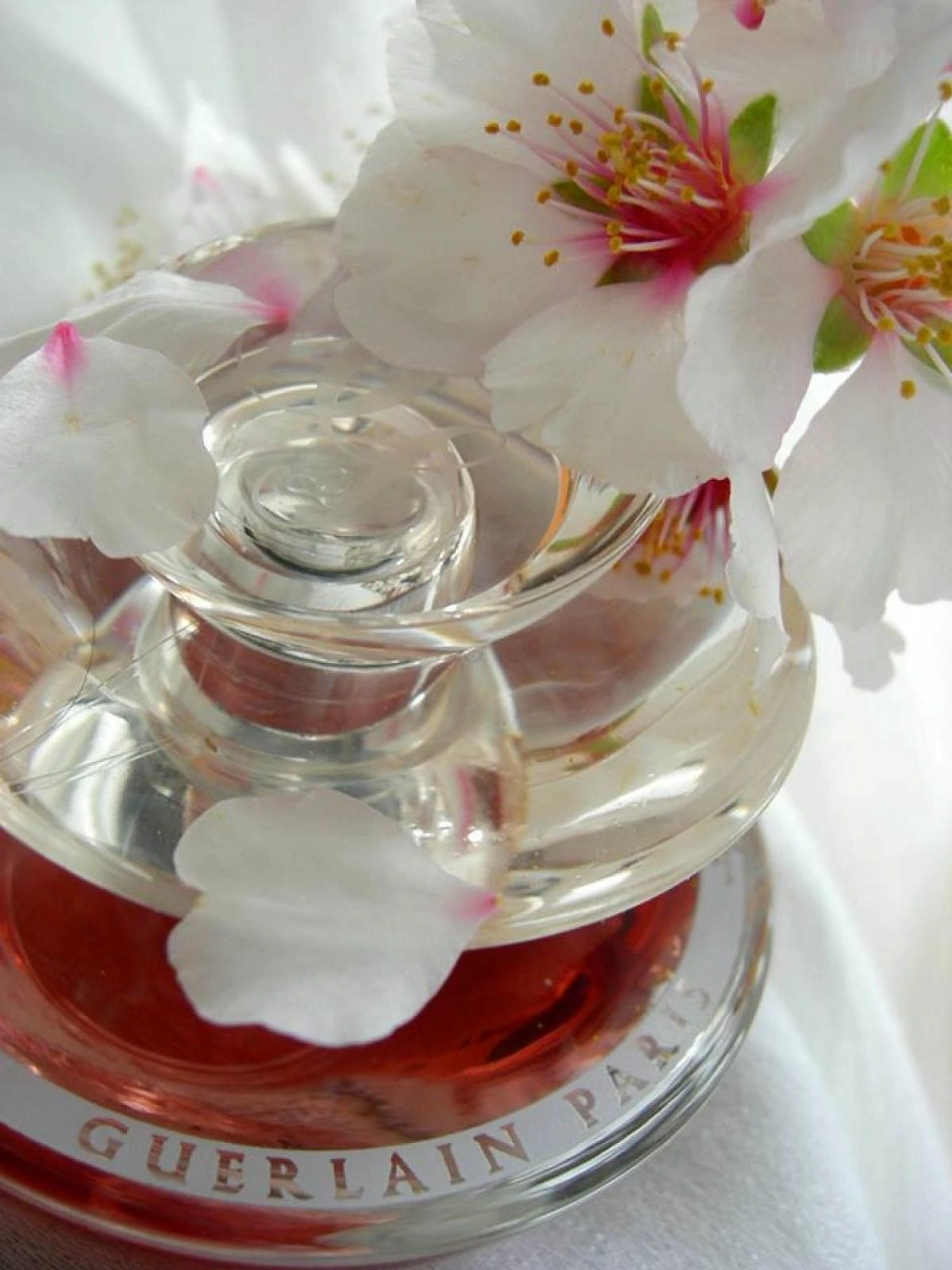 Guerlain My Insolence