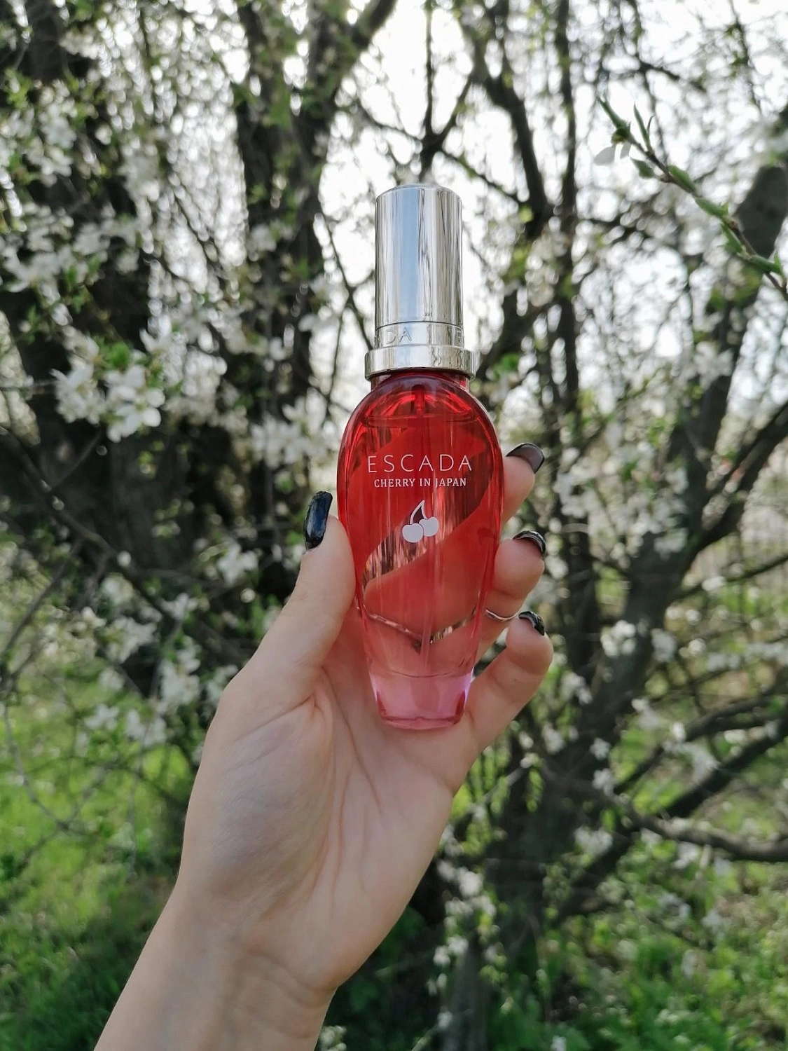 Escada Cherry In Japan