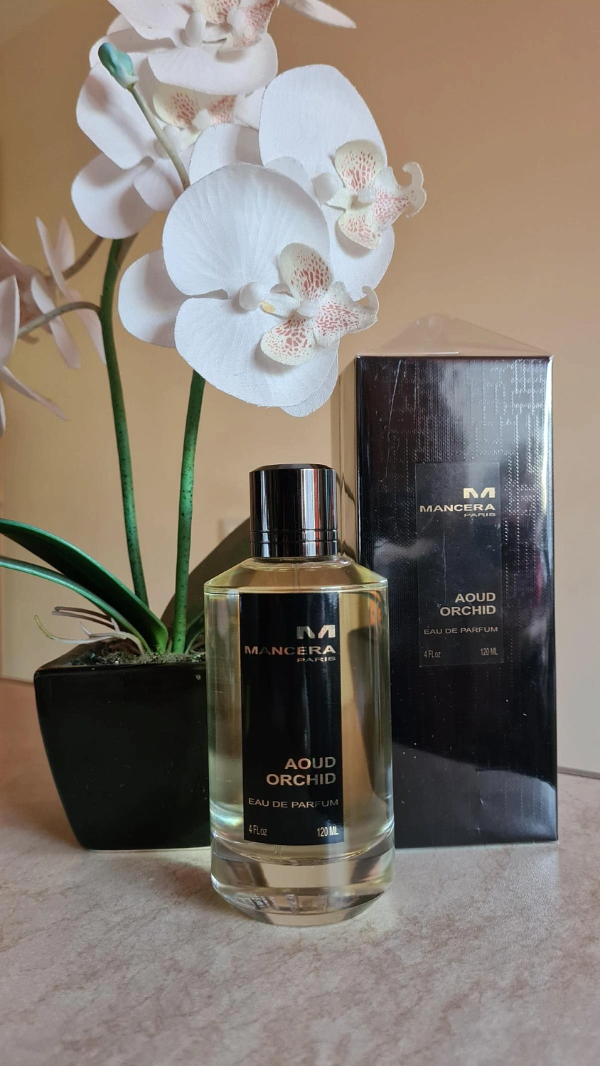 Mancera Aoud Orchid