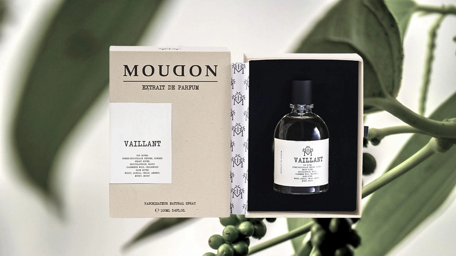 Moudon Vaillant