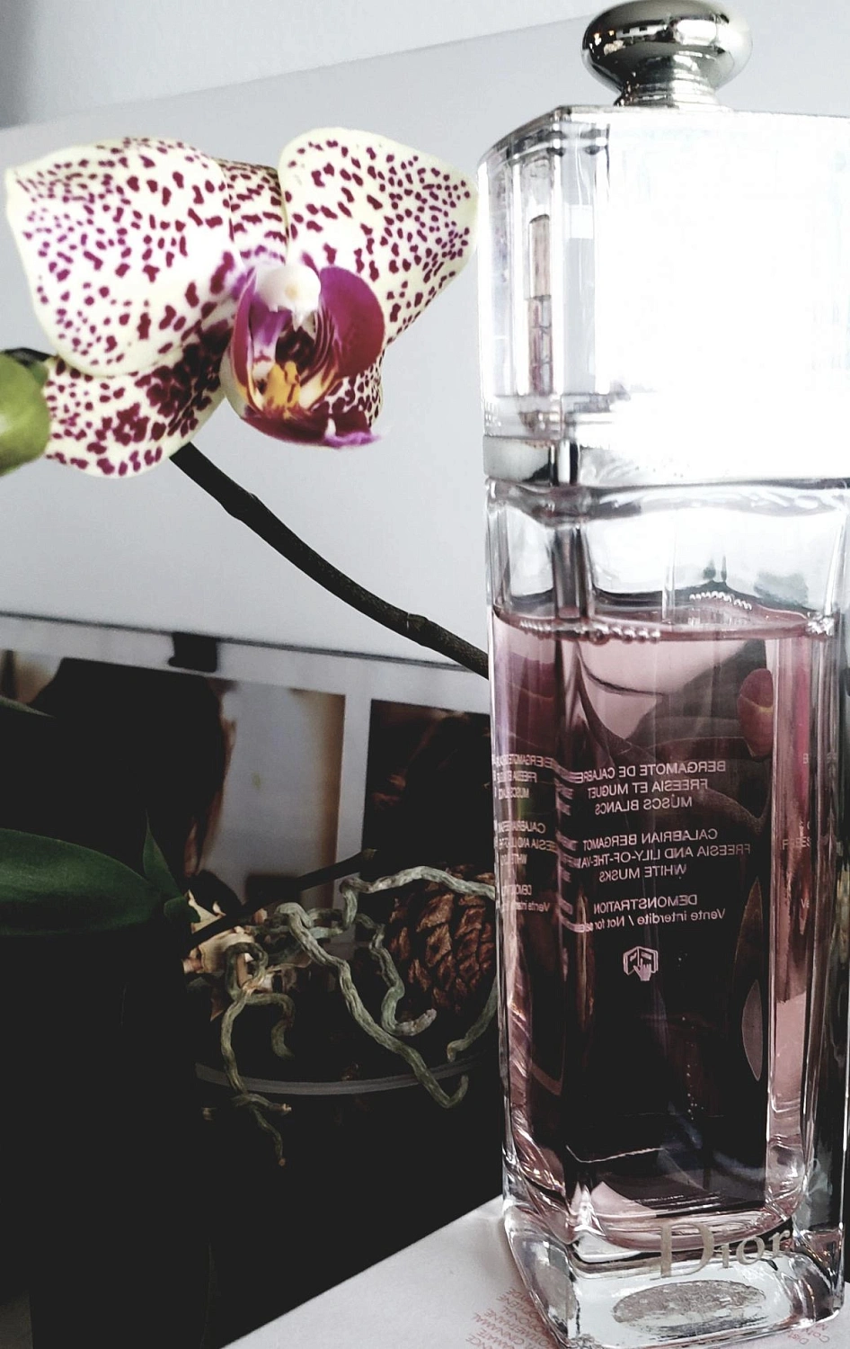 Christian Dior Addict Eau Fraiche