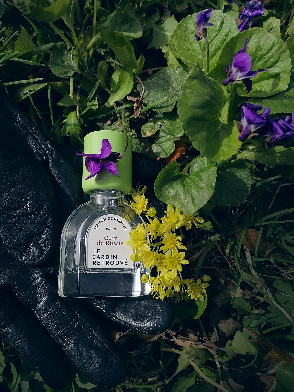 Le Jardin Retrouvé Cuir De Russie