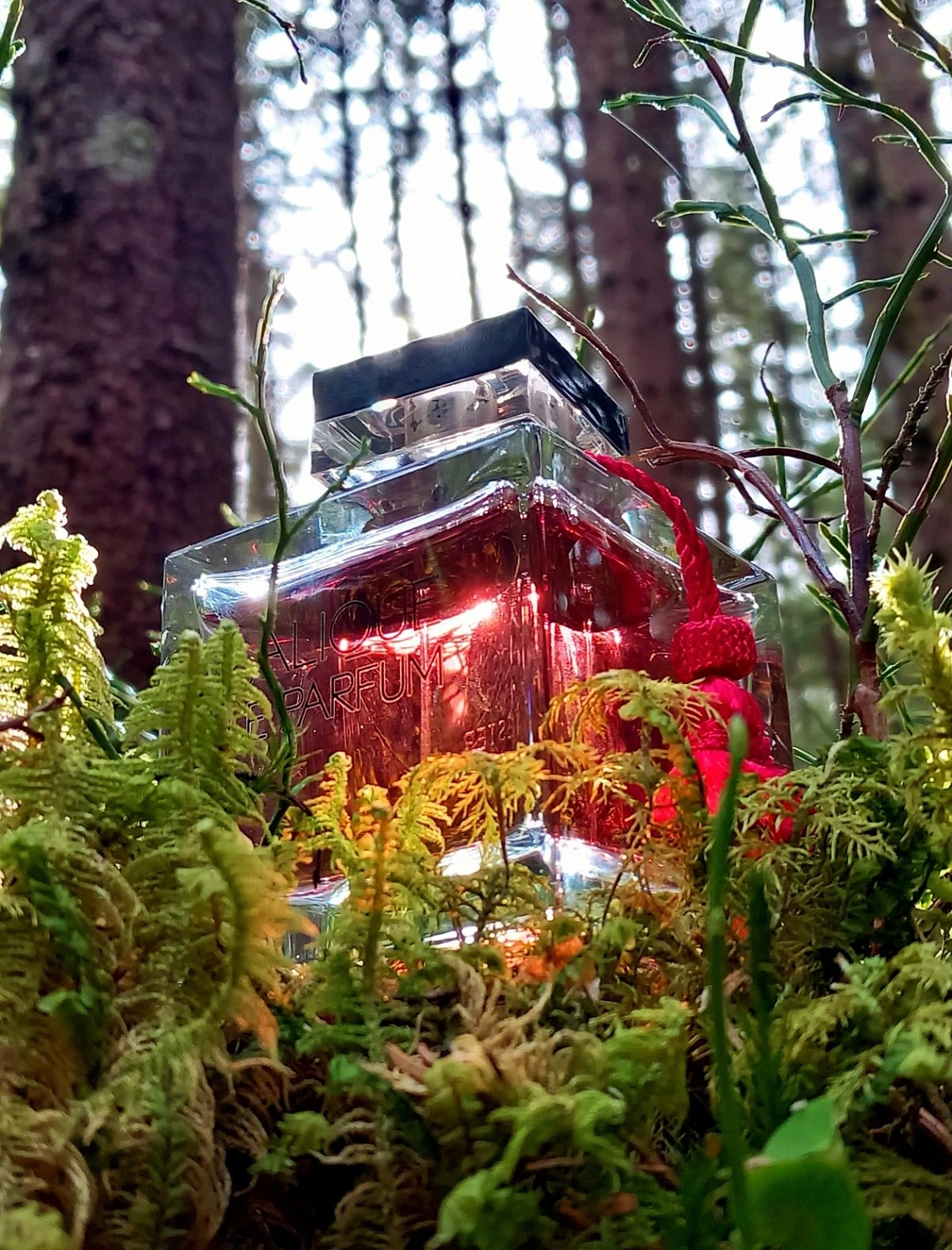 Lalique Le Parfum