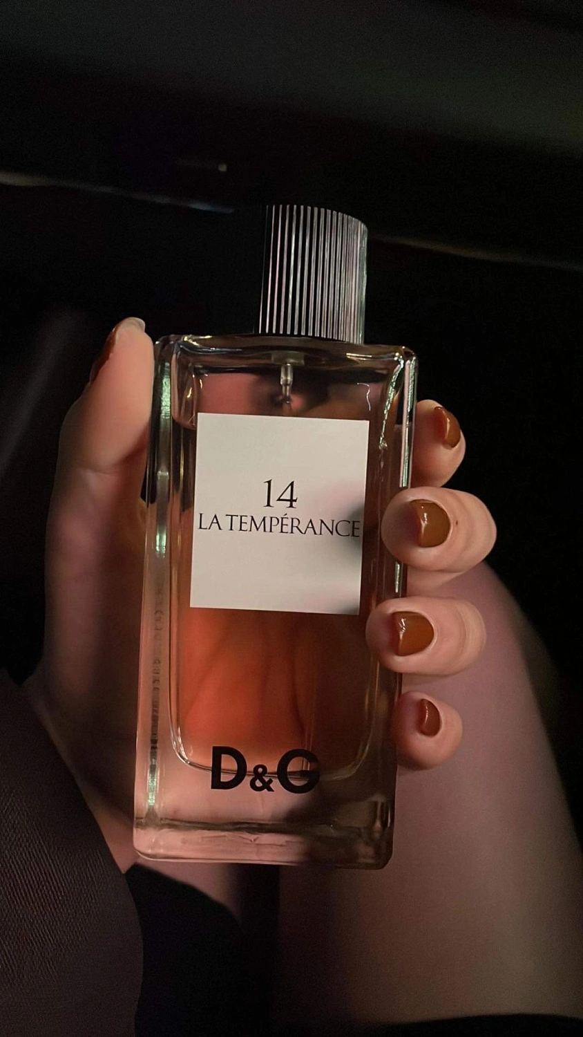 Dolce & Gabbana Anthology La Temperance 14