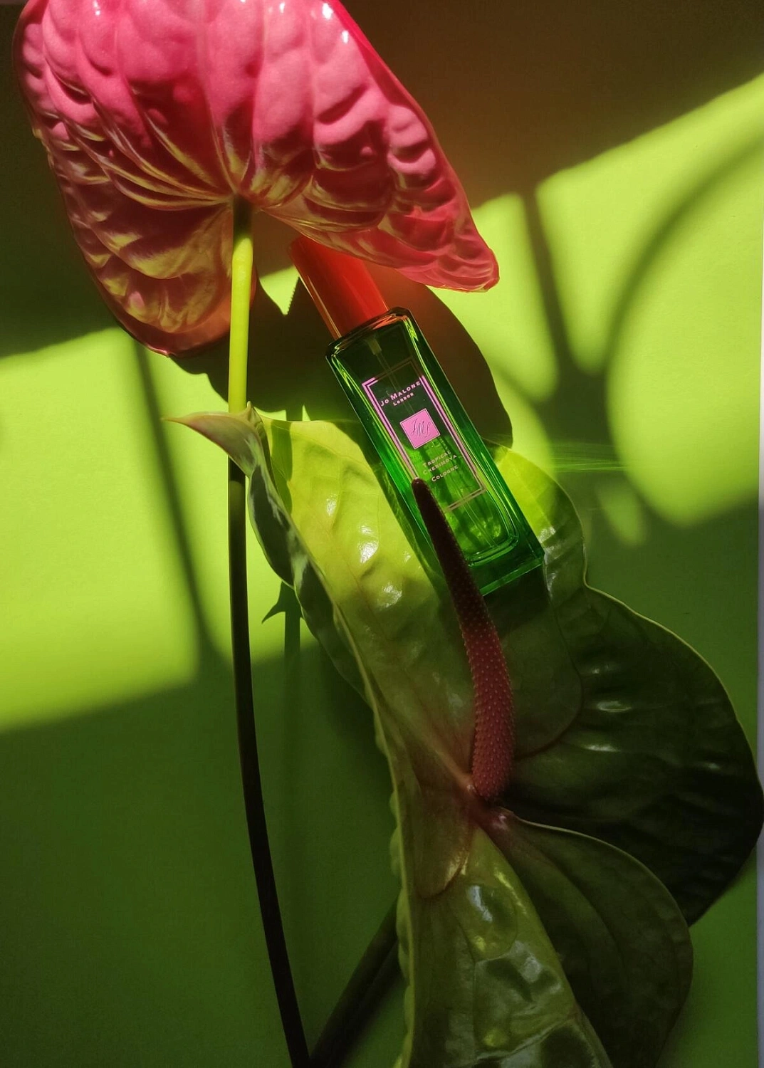 Jo Malone Tropical Cherimoya