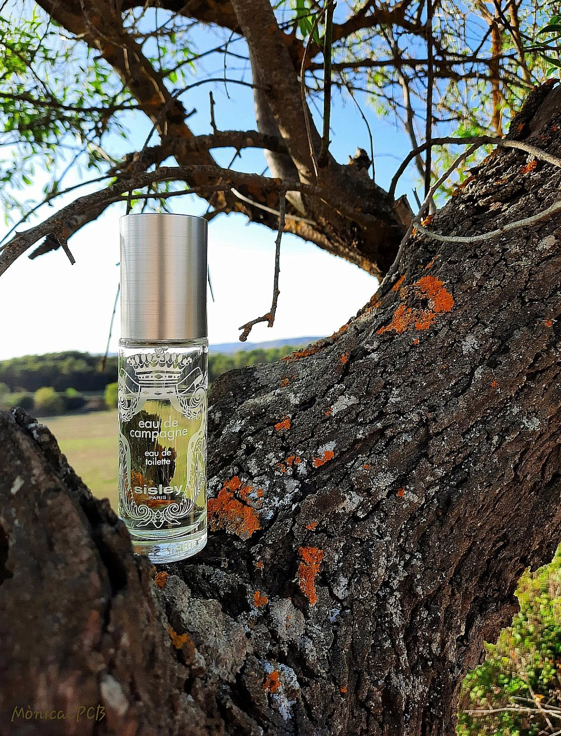 Sisley Eau de Campagne