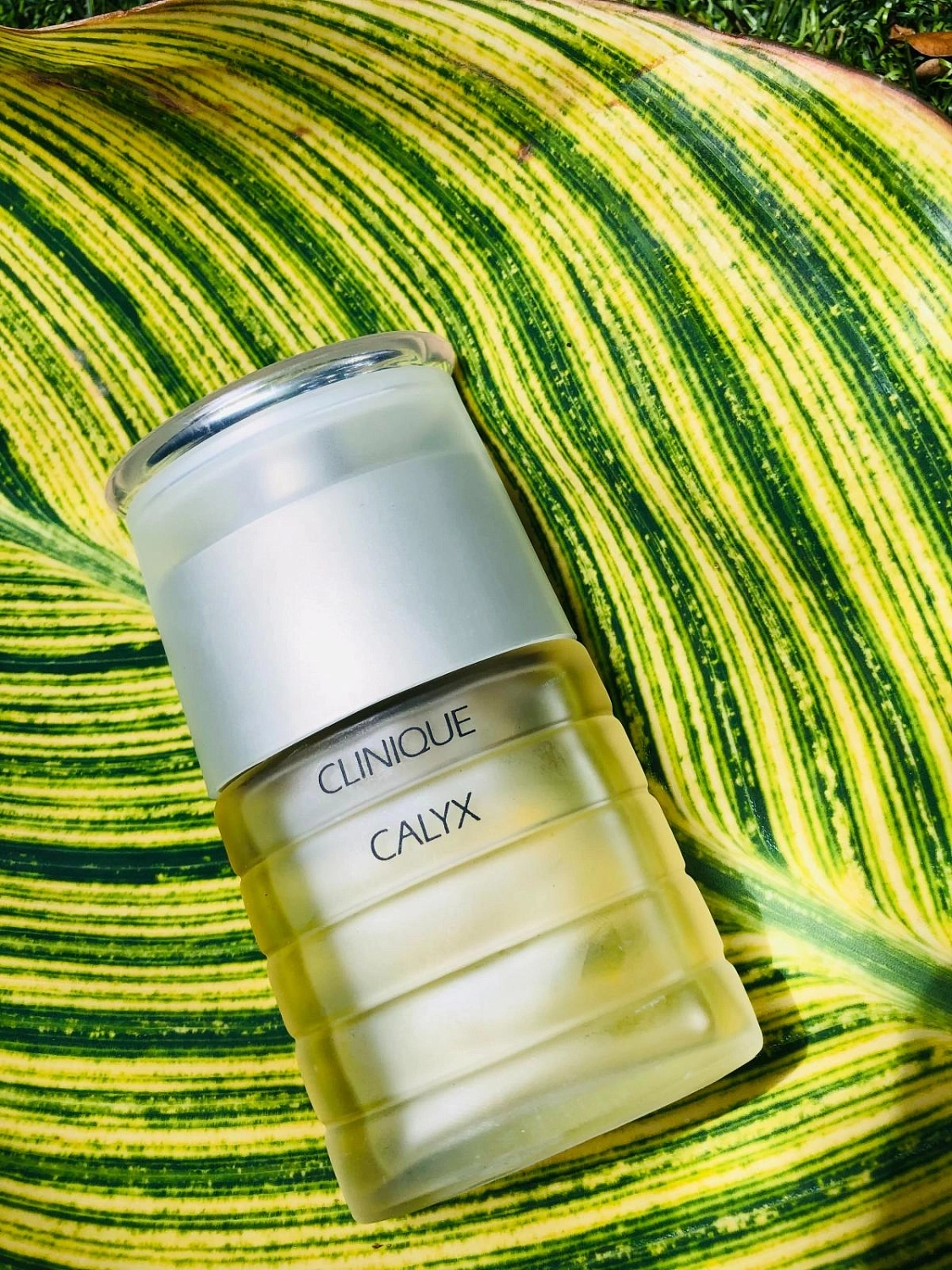 Clinique Calyx
