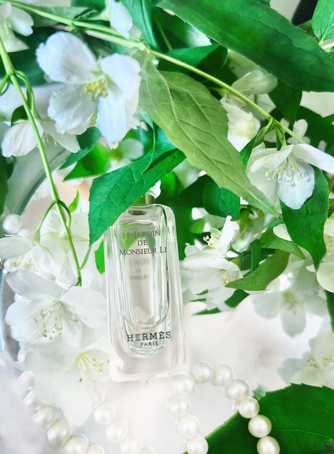 Hermès Le Jardin de Monsieur Li