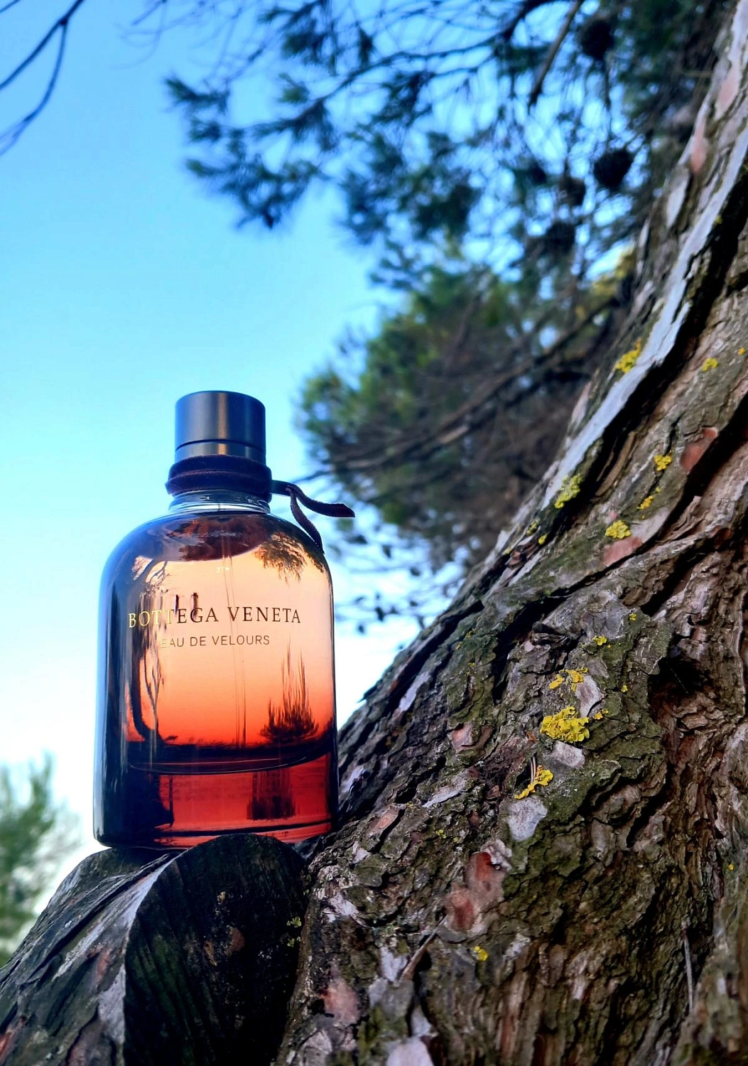 Bottega Veneta Eau de Velours