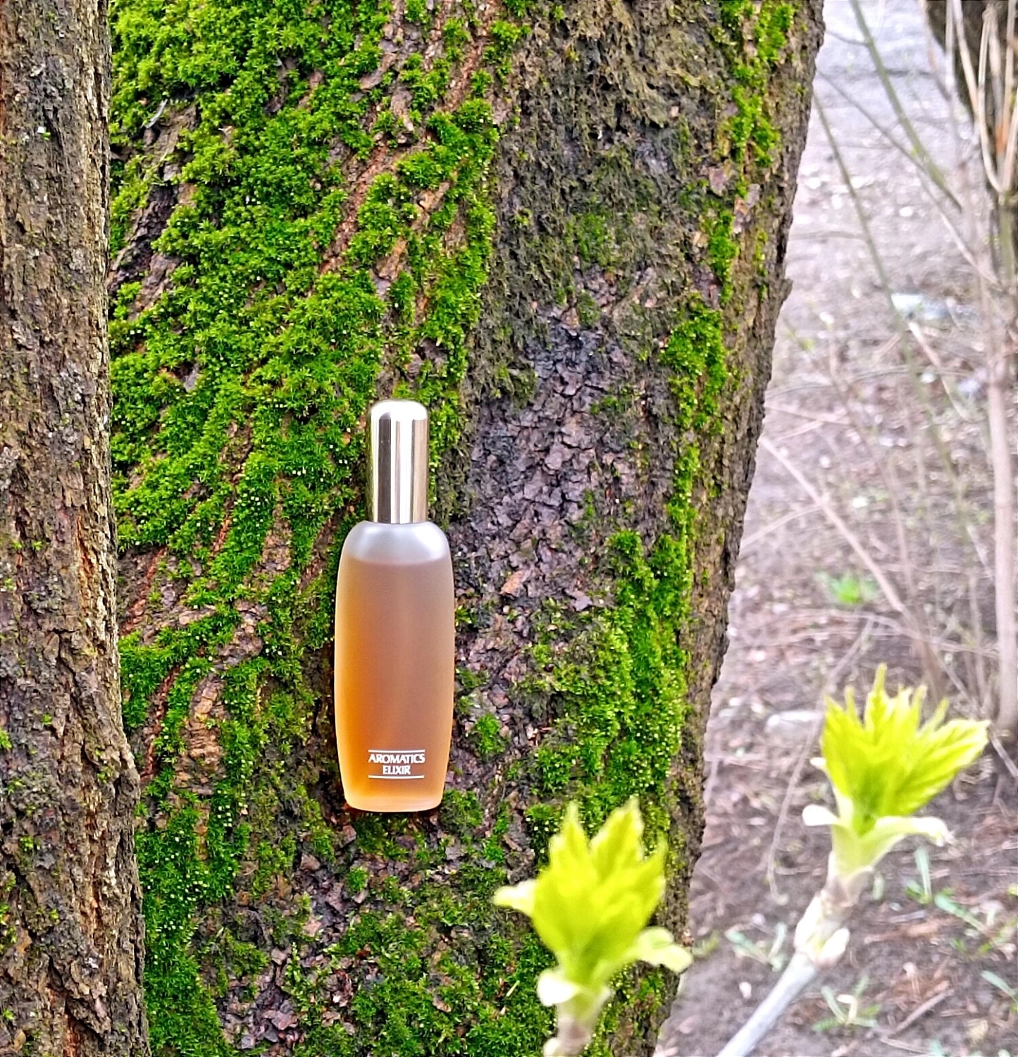 Clinique Aromatics Elixir