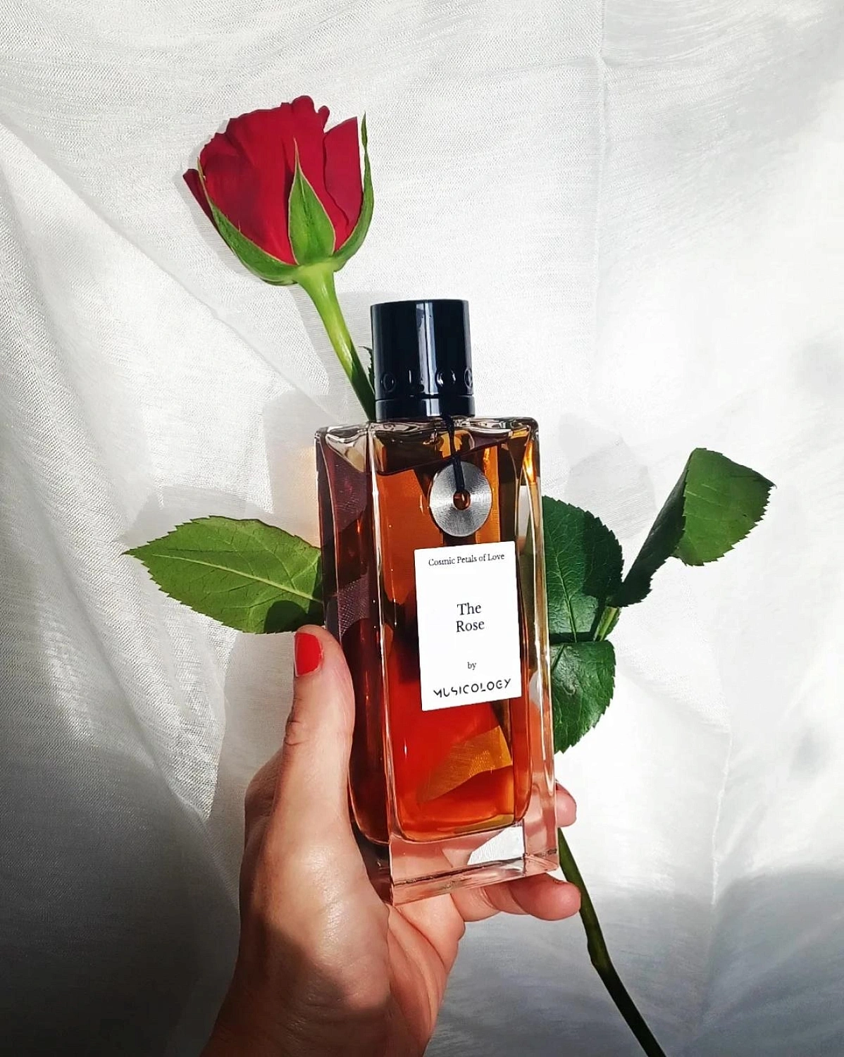 Musicology The Rose