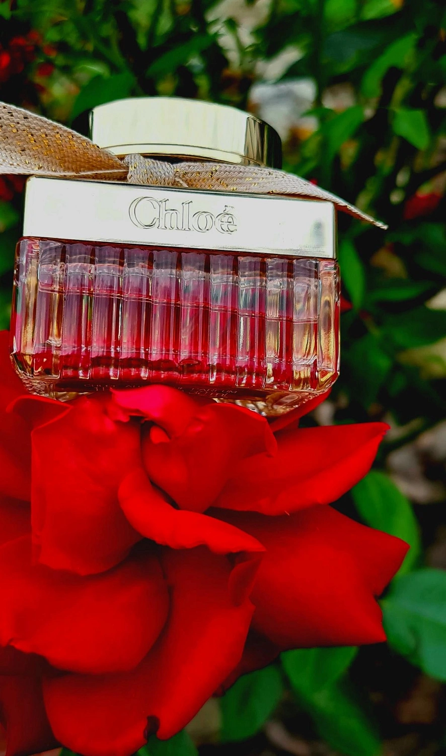 Chloé Absolu de Parfum