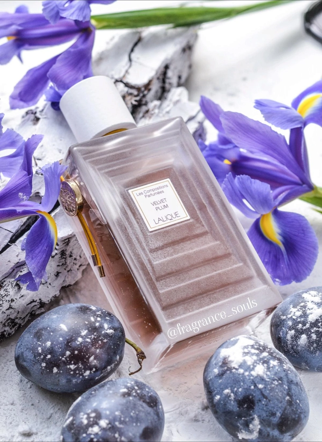 Lalique Velvet Plum
