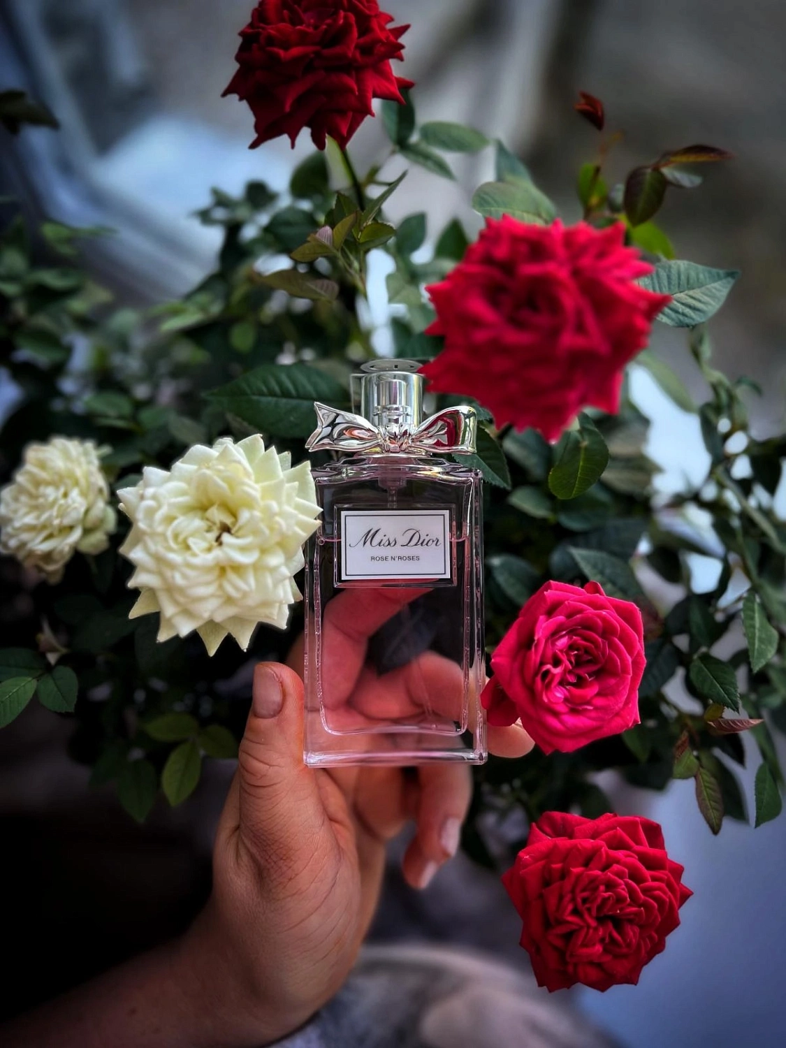 Christian Dior Miss Dior Rose N'Roses
