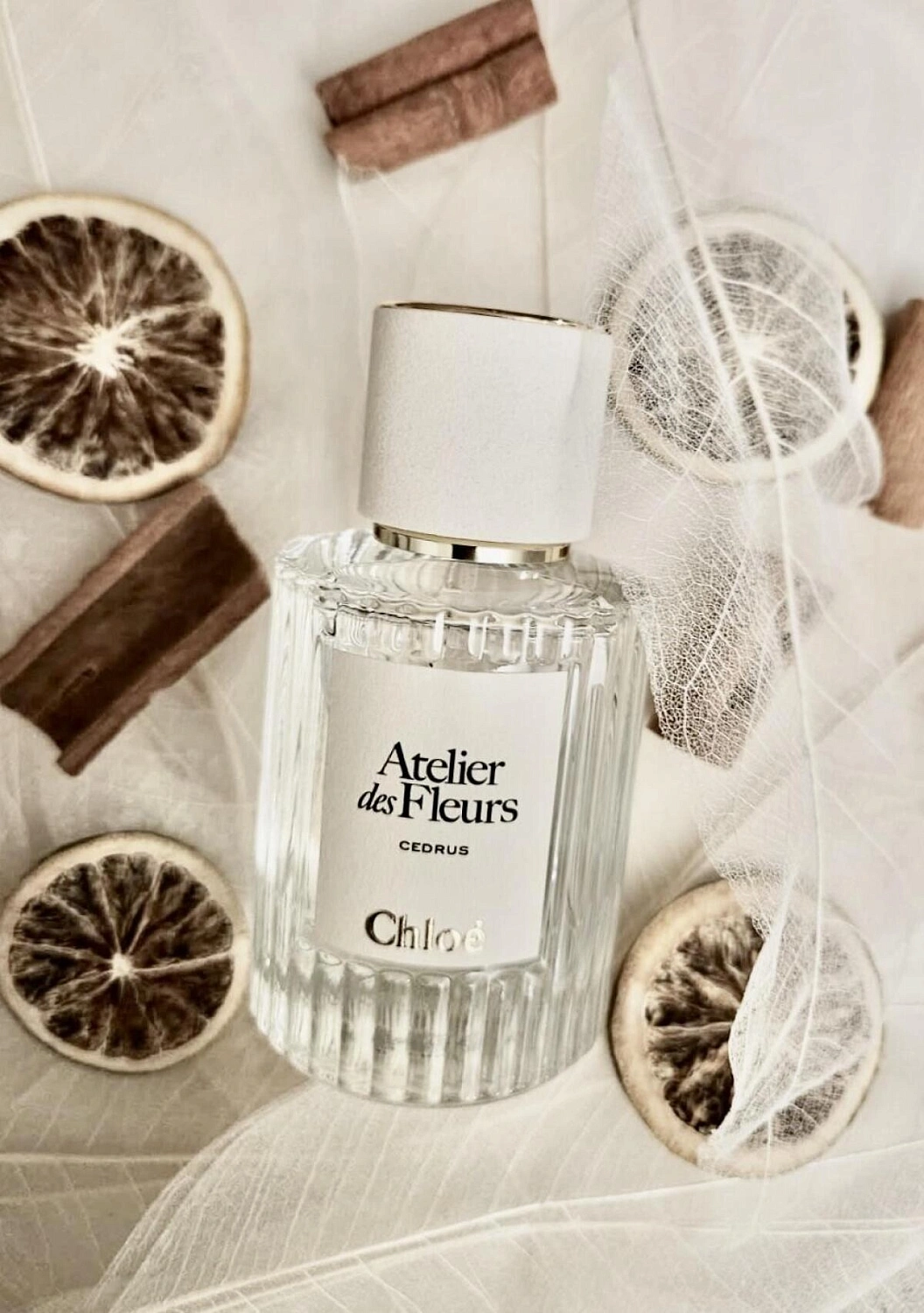 Chloé Atelier Des Fleurs Cedrus