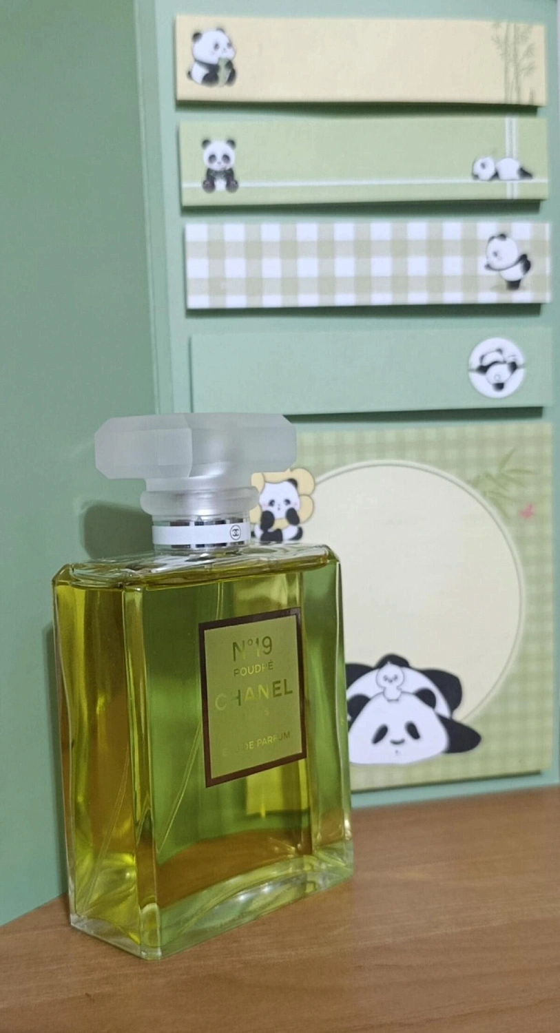 Chanel N°19 Poudre