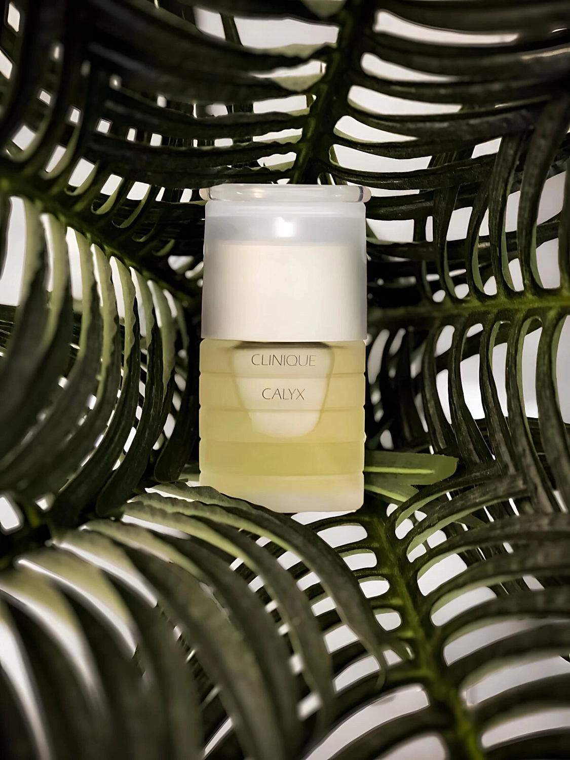 Clinique Calyx
