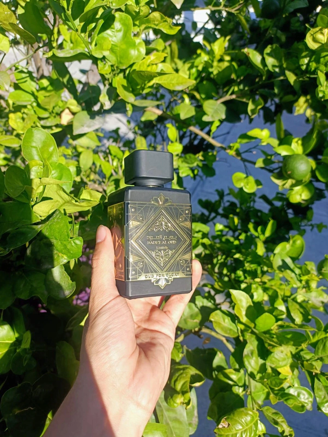 Lattafa Bade'e Al Oud (Oud for Glory)