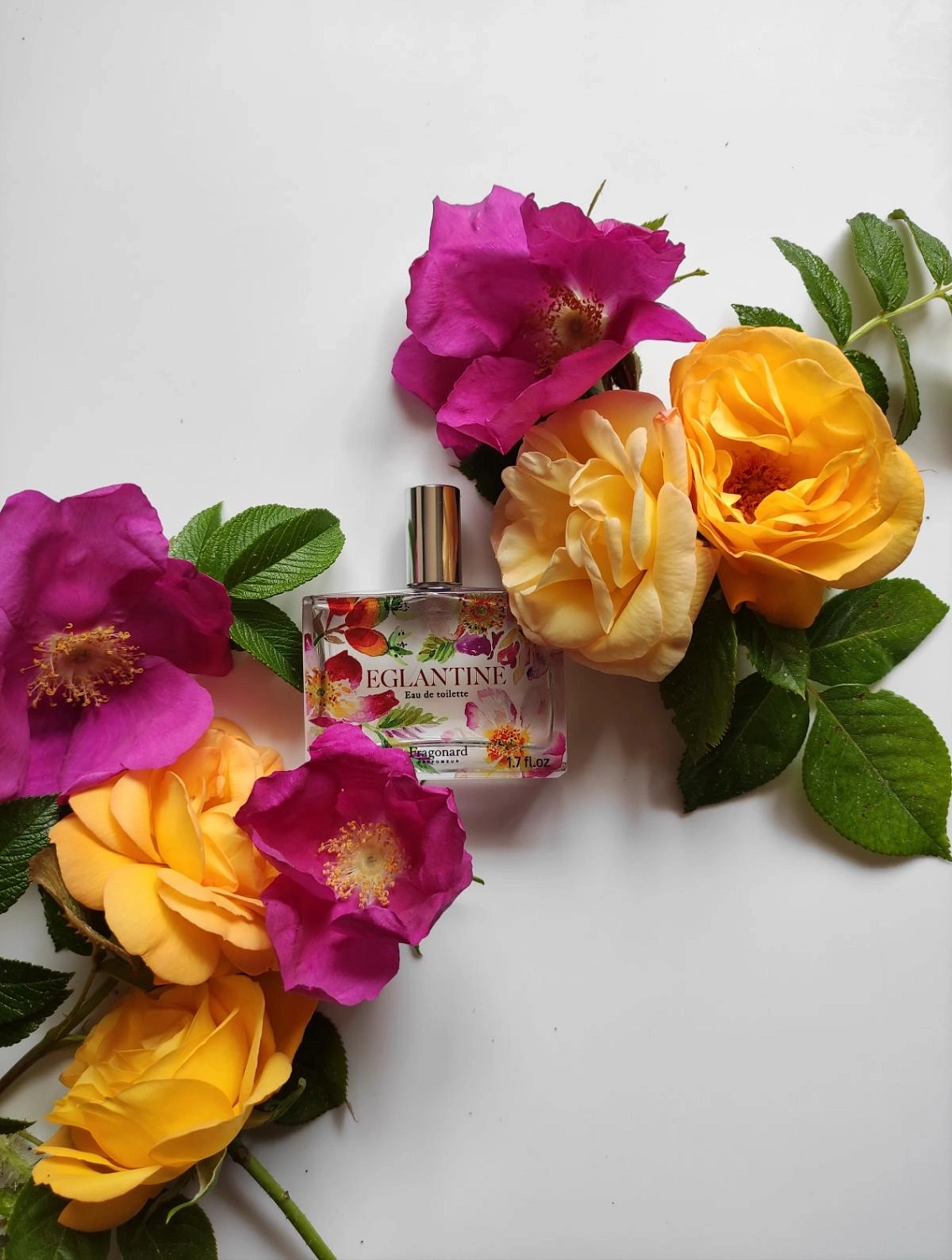 Fragonard Eglantine