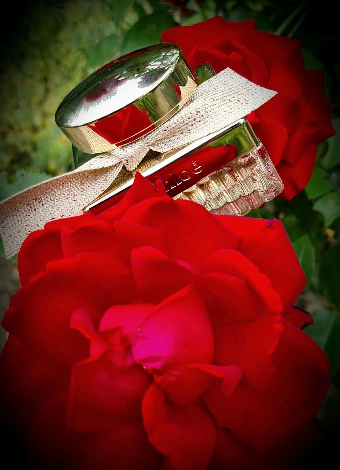 Chloé Absolu de Parfum