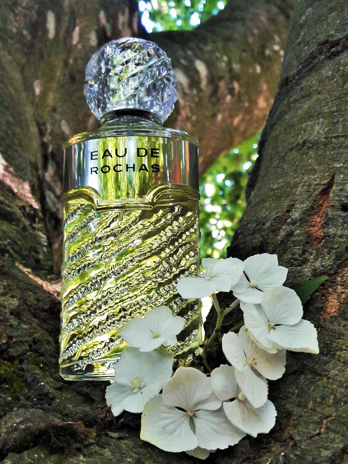 Eau de Rochas