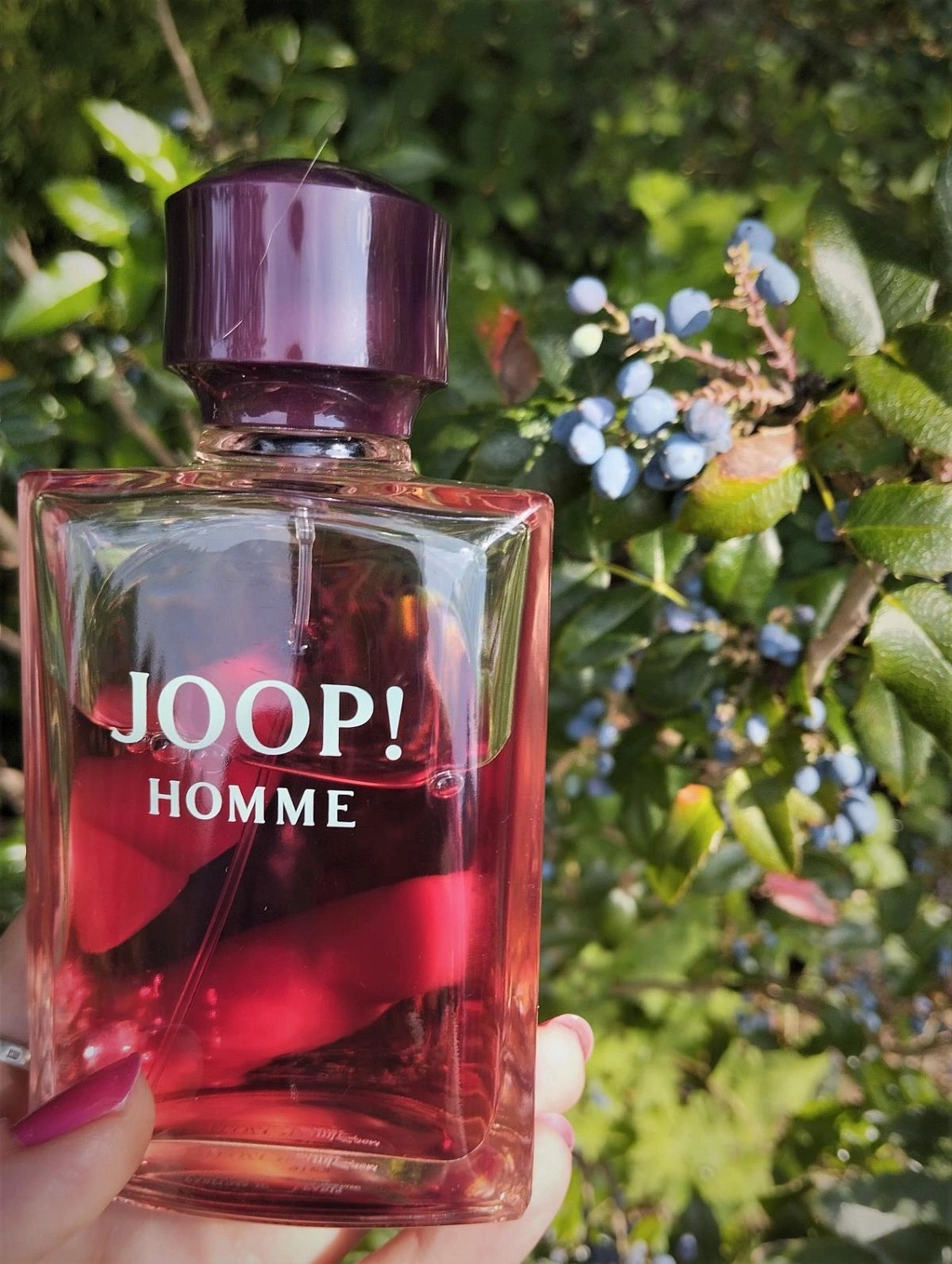 Joop! Homme