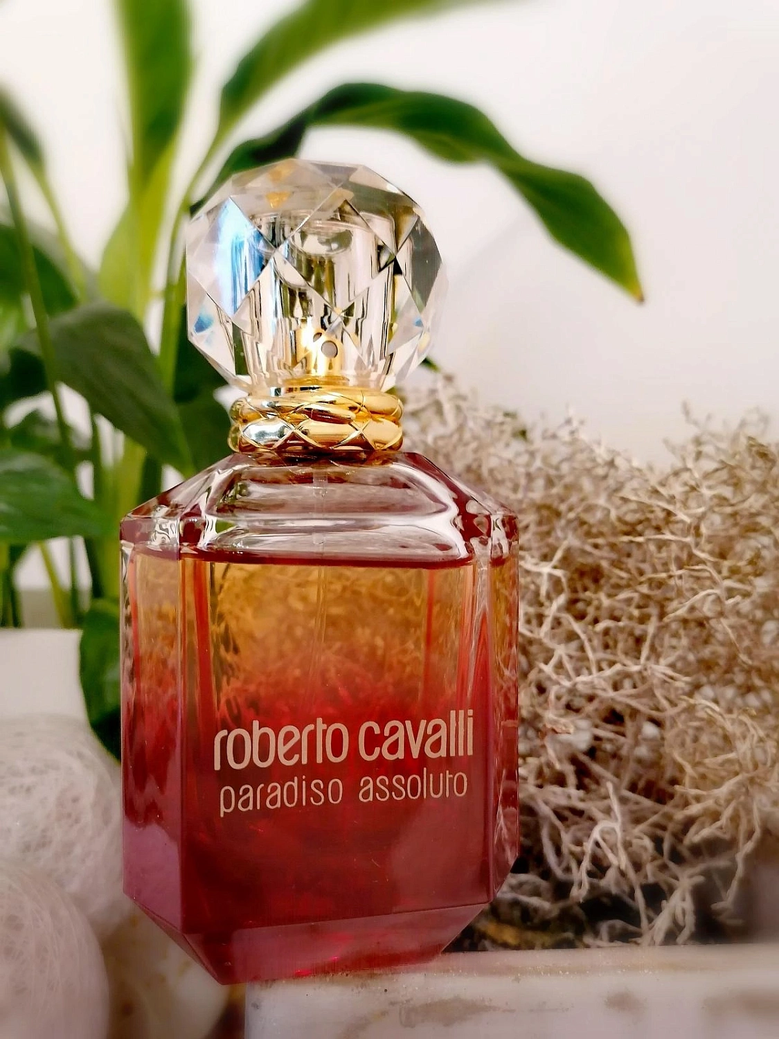 Roberto Cavalli Paradiso Assoluto