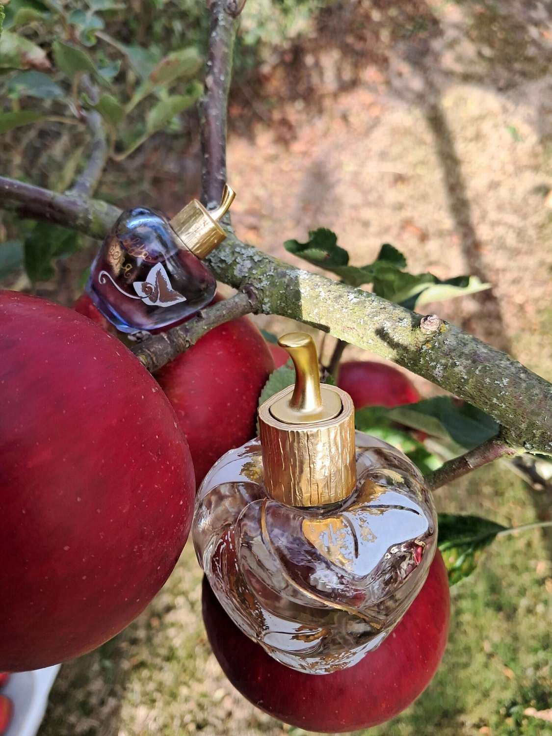 Lolita Lempicka L'Eau Jolie