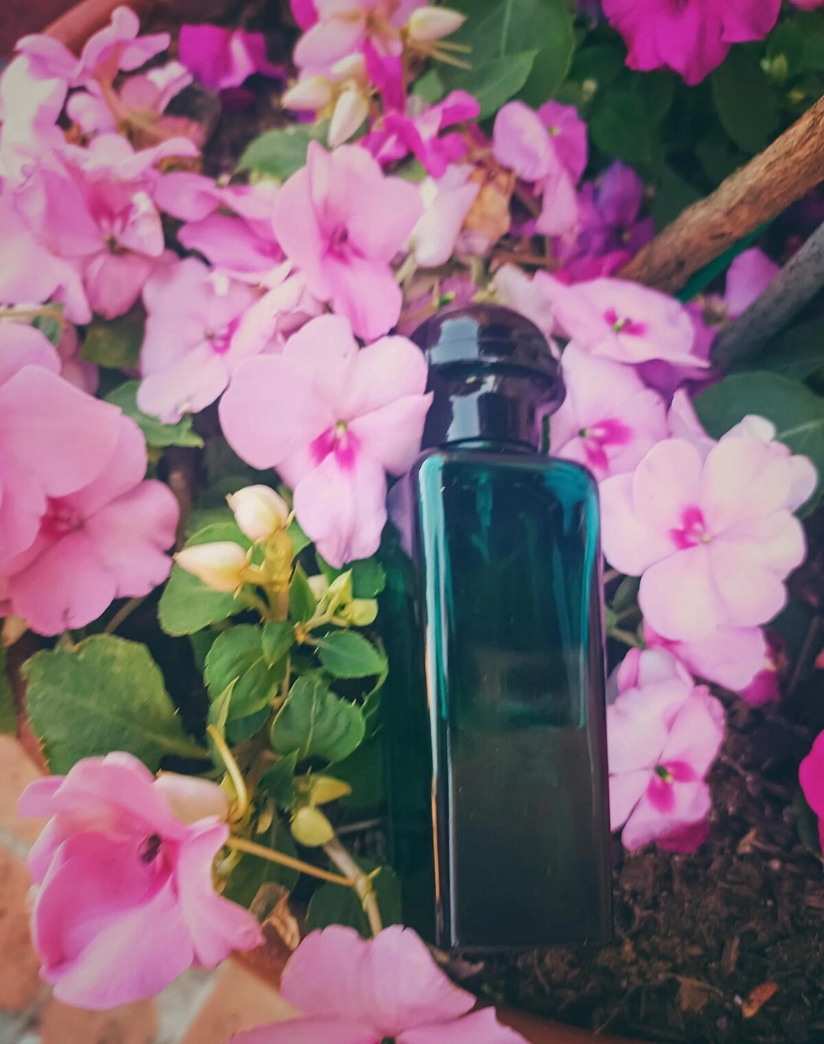 Hermès Eau D'Orange Verte