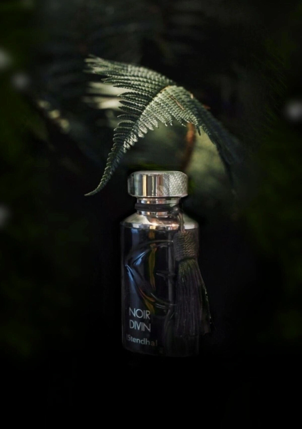 Stendhal Noir Divin