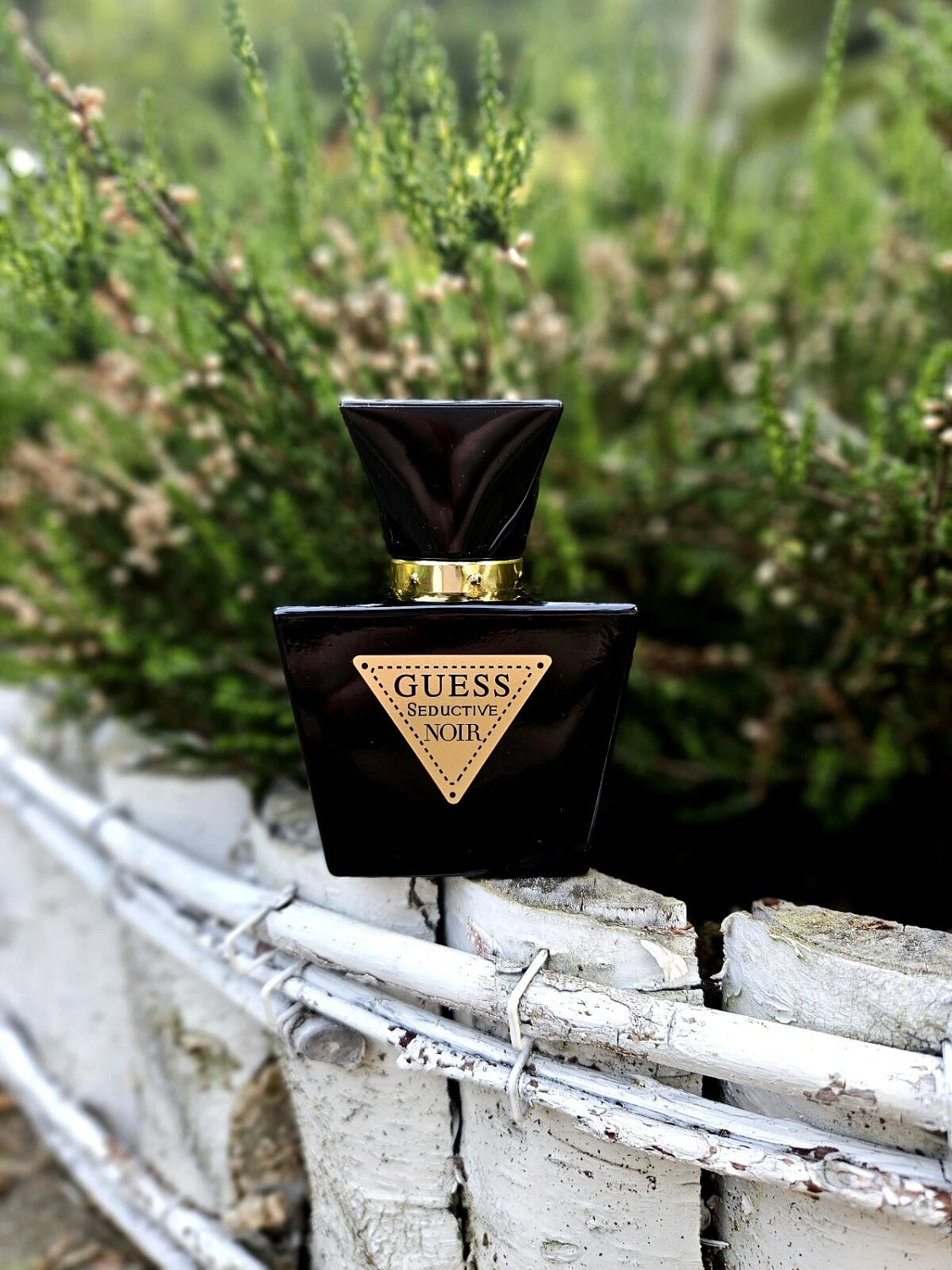 GUESS Seductive Noir