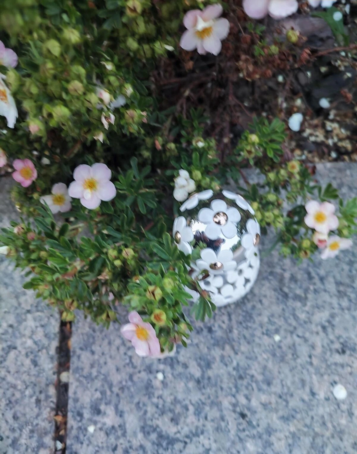 Marc Jacobs Daisy Dream